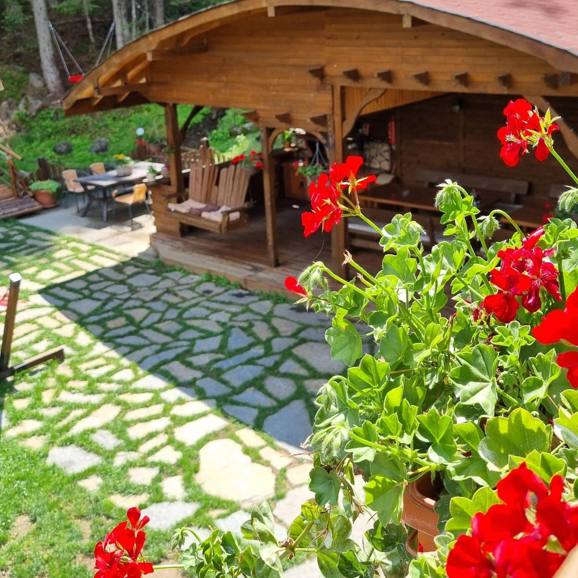 Villa Hills - Къща За Гости С Храна Orlino المظهر الخارجي الصورة